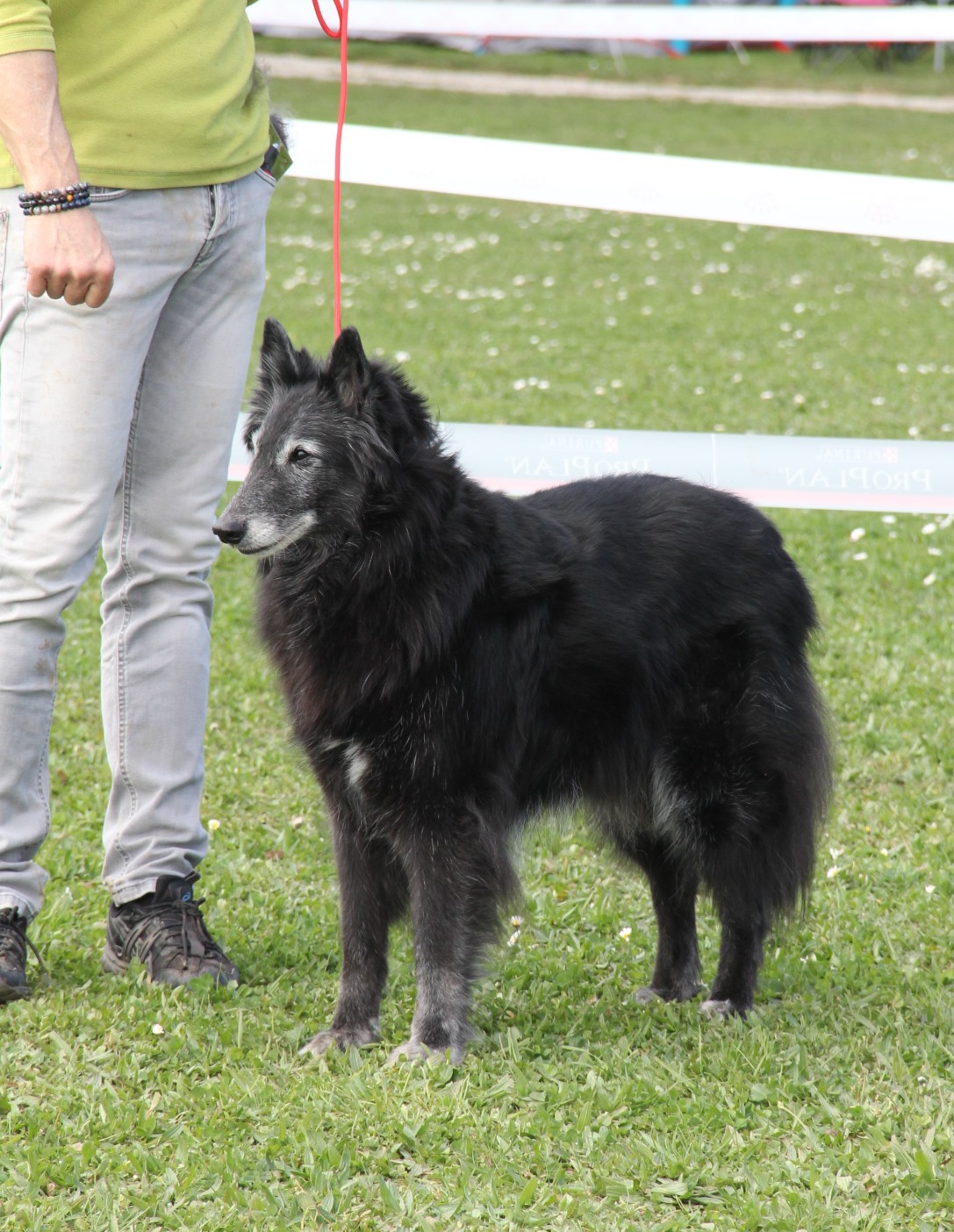 HANOUCHKA