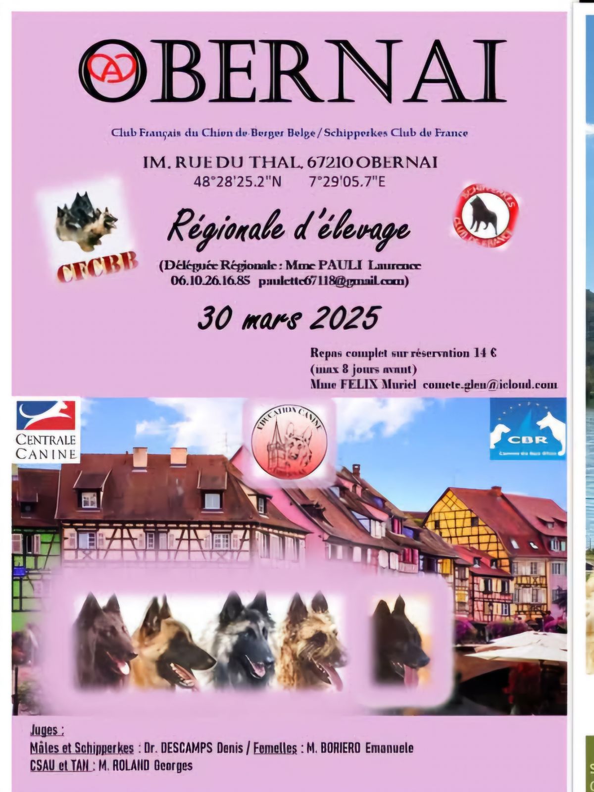 REGIONALE