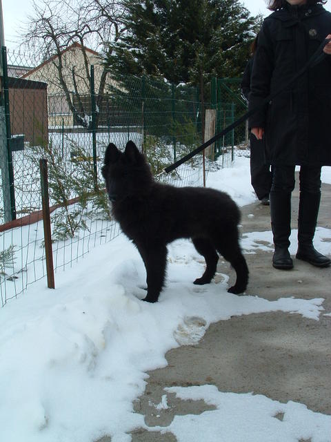 Image Exemple